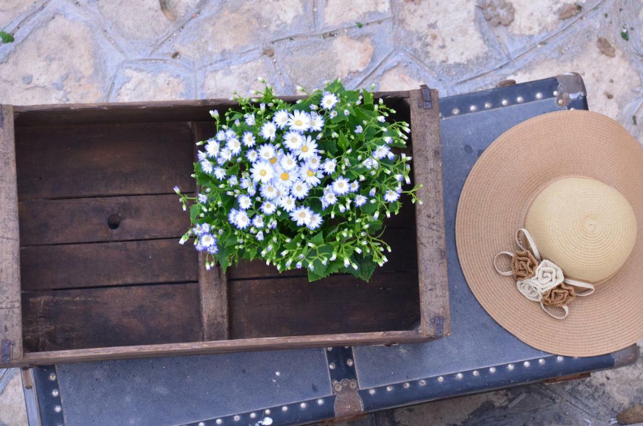Masseria Poli Country House 콘베르사노 외부 사진